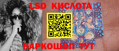дмт Пенза