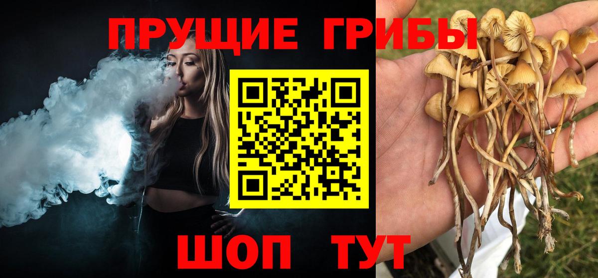 Псилоцибиновые грибы мицелий  Галлюциногенные грибы Cubensis  Вход с VPN  Сорочинск 